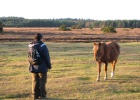 IMG 7848