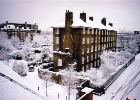 officeview  This was the view from my office after it had finished snowing.