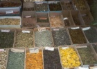 Orto-Sai Market