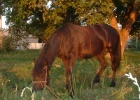 DSCF0092