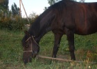 DSCF0095