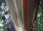 S2IS 2005 09 17 1235