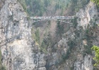 IMG 4617
