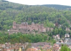 IMG 4841