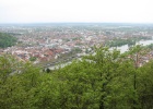 IMG 4848