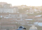 IMG 0116  Porto
