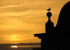 IMG 0142  Porto