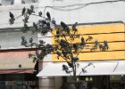 IMG 0435  Porto