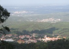 IMG 0733  Luso