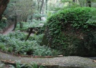IMG 1465  Sintra