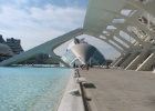 IMG 7444  Valencia
