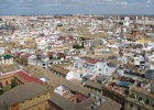 IMG 9220  Seville