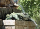 IMG 9679  Madrid