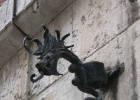 IMG 5366