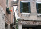 IMG 5371