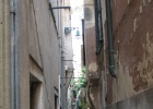 IMG 5565