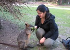 IMG 5713  Healesville Sanctuary