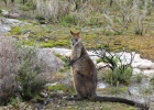 IMG 6570  Near Halls Gap