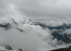 IMG 4436  M�nnlichen