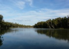 P1010871  The Murray River  Robinvale, Australia