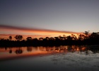 P1020051  The Murray River  Robinvale, Australia
