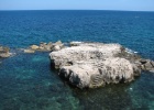IMG 8729  Ortygia