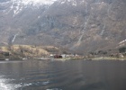 IMG 0462  Flam