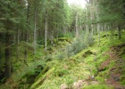IMG 0825  Bergen