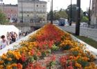 IMG 3885  Krakow