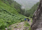 IMG 2286  Glencoe