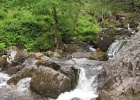IMG 2294  Glencoe