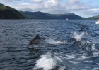 Scotland
