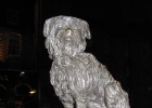 IMG 3574  Greyfriars Bobby  See http://en.wikipedia.org/wiki/Greyfriars_Bobby for more information.
