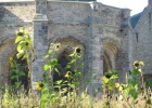 IMG 0752  Ypres.