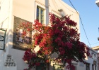 DSC 4042  Naxos