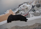 DSC 4494  Santorini