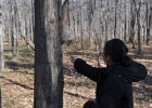 DSC 5991  Bema feeding a red squirrel, Bishkek.