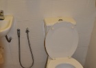 DSC 6364  Kuala Lumpur.  All the toilets in Kuala Lumpur had a hose next to them as a sort of bidet.