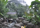 DSC 6411  Kuala Lumpur Bird Park, Kuala Lumpur.