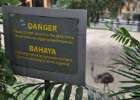 DSC 6525  The emu enclosure, Kuala Lumpur Bird Park, Kuala Lumpur.