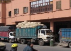 IMG 7627  Marrakech
