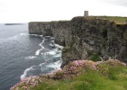 IMG 0168  Orkney