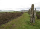 IMG 0289  A stone circle, Orkney