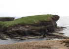 IMG 0428  Orkney