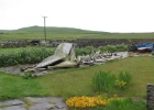 IMG 9836  Westray, Orkney  The skeleton of a blue whale that the locals collected.